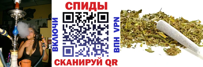 Купить закладки  Кировск  БУТИРАТ бутик 