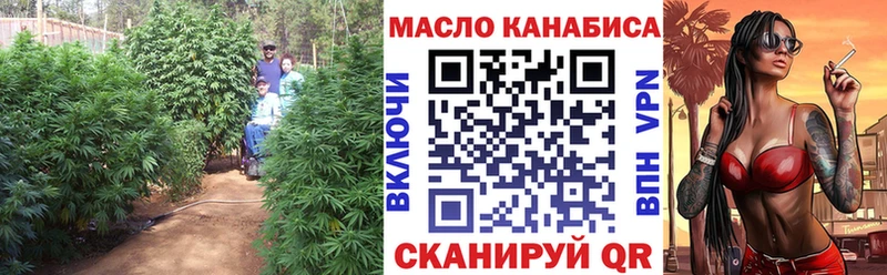 ТГК гашишное масло  Купить где  Кировск 