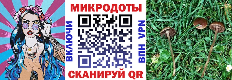 Псилоцибиновые грибы Psilocybine cubensis  Купить закладки  Кировск 