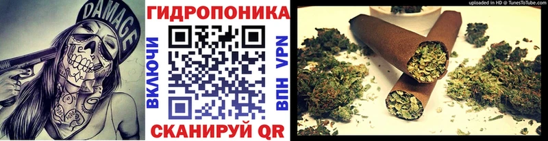 Бошки Шишки марихуана  Купить  Кировск 
